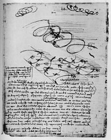 Studies of Birds in Flight When Rising and Circling 1928. Artist: Leonardo da Vinci