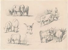 Studies of Cattle, c. 1872. Creator: John Singer Sargent