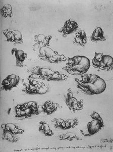 Studies of Cats and of a Dragon c1480 (1945). Artist: Leonardo da Vinci