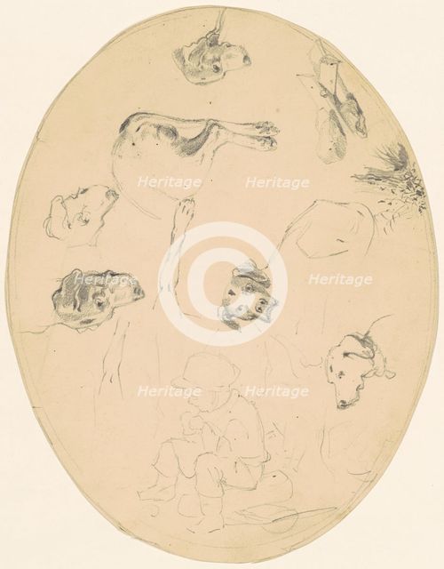 Studies of Dogs and a Seated Boy [recto], c. 1840-1850. Creator: James Goodwyn Clonney.