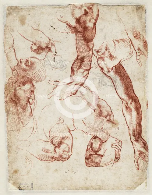 Studies of figures and limbs, 1511. Creator: Buonarroti, Michelangelo (1475-1564).