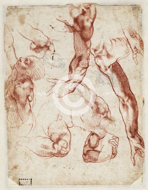 Studies of figures and limbs, 1511. Creator: Buonarroti, Michelangelo (1475-1564).