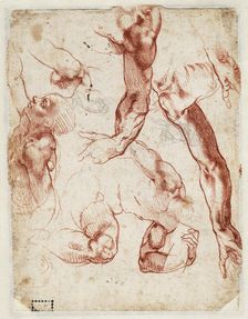 Studies of figures and limbs, 1511. Creator: Buonarroti, Michelangelo (1475-1564)