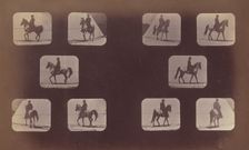 Studies of Foreshortenings. Horses. Walking. Mahomet. Nos. 119-120, 1879. Creator: Eadweard J Muybridge