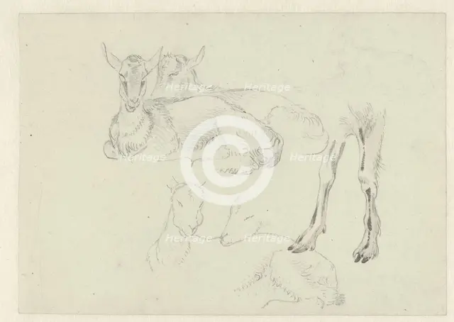 Studies of Goats, c.1809-c.1812. Creator: Josephus Augustus Knip.
