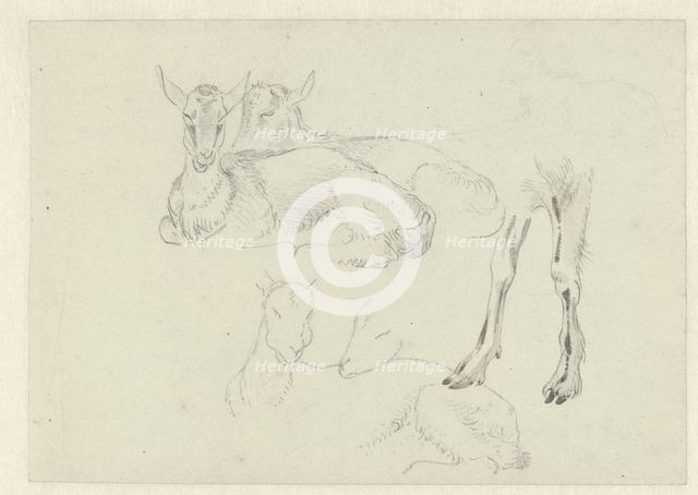 Studies of Goats, c.1809-c.1812. Creator: Josephus Augustus Knip.