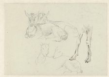 Studies of Goats, c.1809-c.1812. Creator: Josephus Augustus Knip