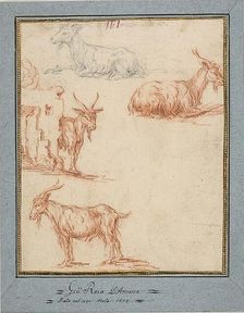 Studies of Goats, n.d. Creator: Jan Roos