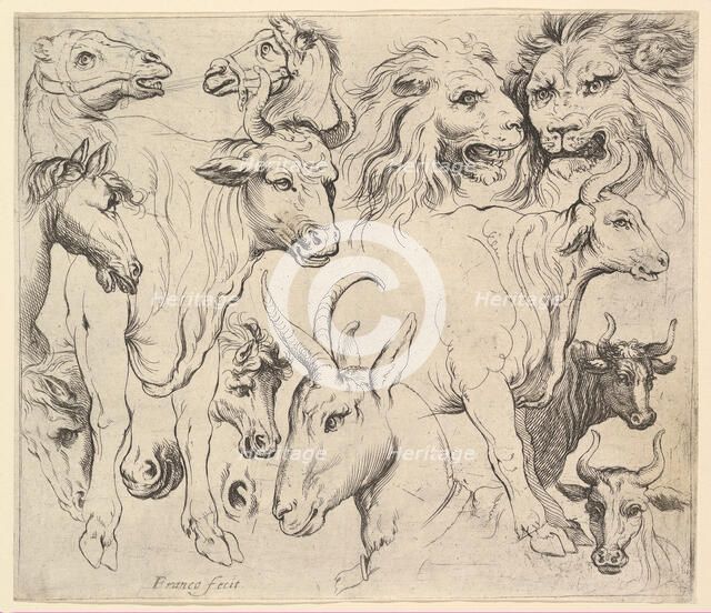 Studies of Heads. Creator: Unknown.