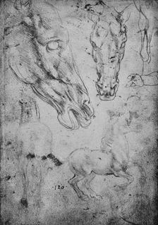 Studies of Horses and of Horses Heads c1480 (1945). Artist: Leonardo da Vinci