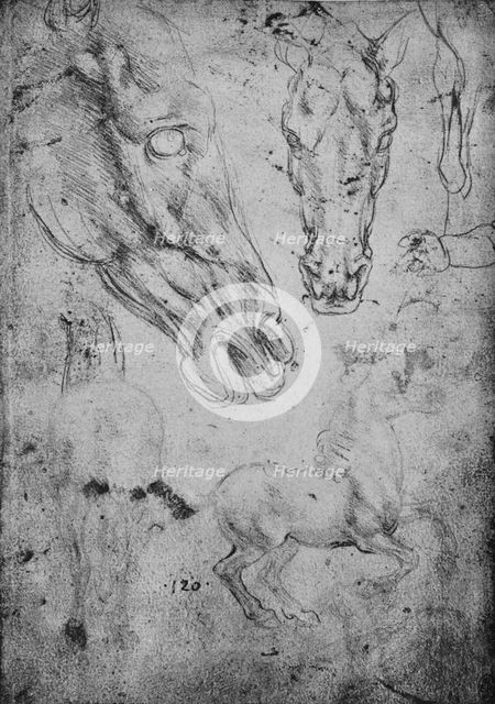 'Studies of Horses and of Horses' Heads', c1480 (1945). Artist: Leonardo da Vinci.