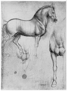 Studies of Horses, c1490 (1954). Artist: Leonardo da Vinci