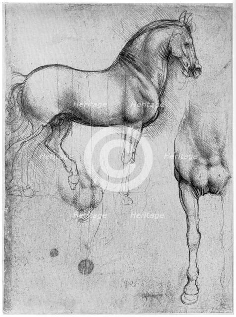 Studies of Horses, c1490 (1954). Artist: Leonardo da Vinci