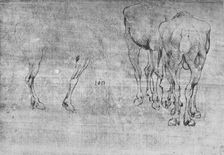 Studies of Horses Grazing c1480 (1945). Artist: Leonardo da Vinci