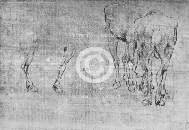 'Studies of Horses Grazing', c1480 (1945). Artist: Leonardo da Vinci.