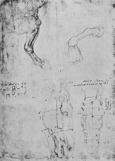Studies of Horses Fore-Legs and Measured Drawings of Horses Heads c1480 (1945). Artist: Leonardo da Vinci