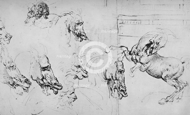 'Studies of Horses' Heads and of a Rearing Horse', c1480 (1945). Artist: Leonardo da Vinci.