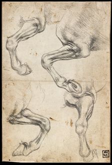 Studies of Horse's Leg. Artist: Leonardo da Vinci (1452-1519)