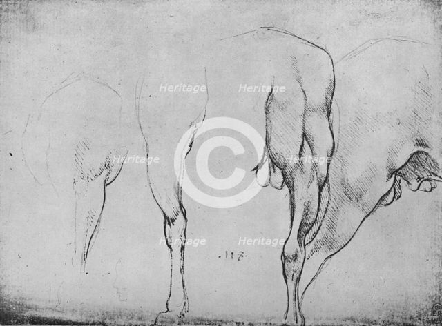 'Studies of Horses' Legs', c1480 (1945). Artist: Leonardo da Vinci.