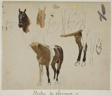 Studies of Horses, n.d. Creator: Jules Elie Delaunay