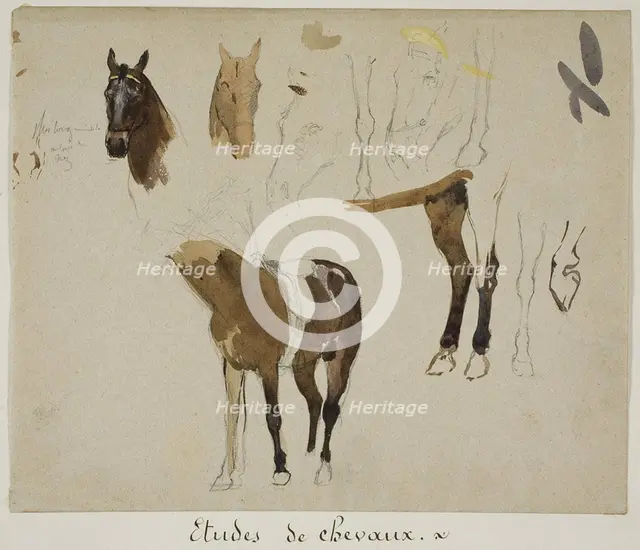 Studies of Horses, n.d. Creator: Jules Elie Delaunay.