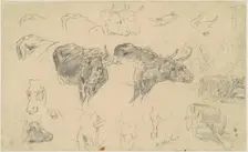 Studies of Oxen, late 19th century. Creator: Walter Shirlaw