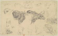 Studies of Oxen, late 19th century. Creator: Walter Shirlaw