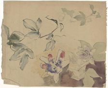 Studies of passion flowers, 1869-1925. Creator: Antoon Derkinderen