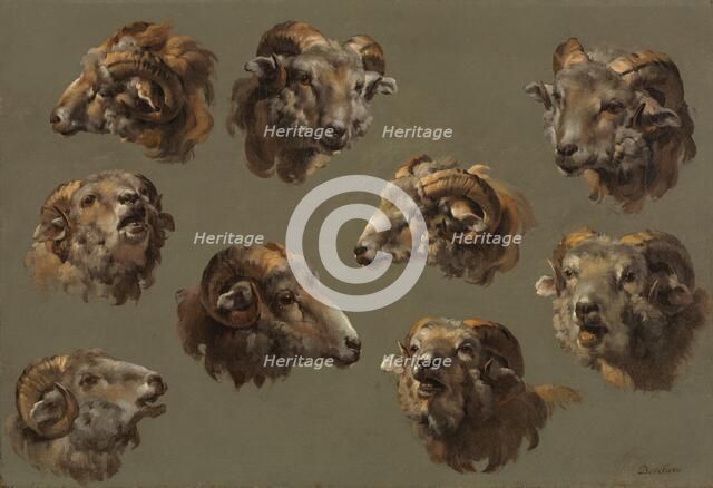 Studies of Ram Heads, 1700s. Creator: Unknown.
