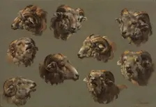 Studies of Ram Heads, 1700s. Creator: Unknown