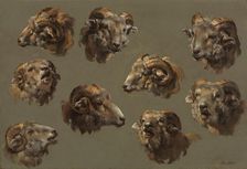 Studies of Ram Heads, 1700s. Creator: Unknown