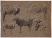 Studies of Sheep, second half 1800s. Creator: Anton Mauve (Dutch, 1838-1888)
