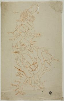 Study After Laocoon Sculpture, n.d. Creator: Unknown