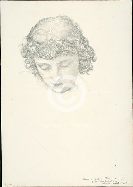 Study for Mirror of Venus: Head, c. 1873-77. Creator: Sir Edward Coley Burne-Jones.