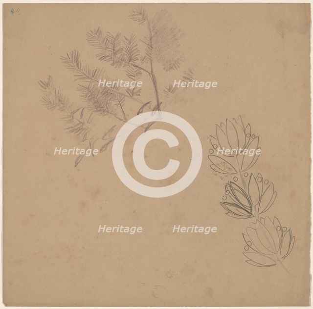 Study for a Border Design with a Sketch of a Tree, 1890/1897. Creator: Charles Sprague Pearce.
