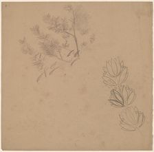 Study for a Border Design with a Sketch of a Tree, 1890/1897. Creator: Charles Sprague Pearce