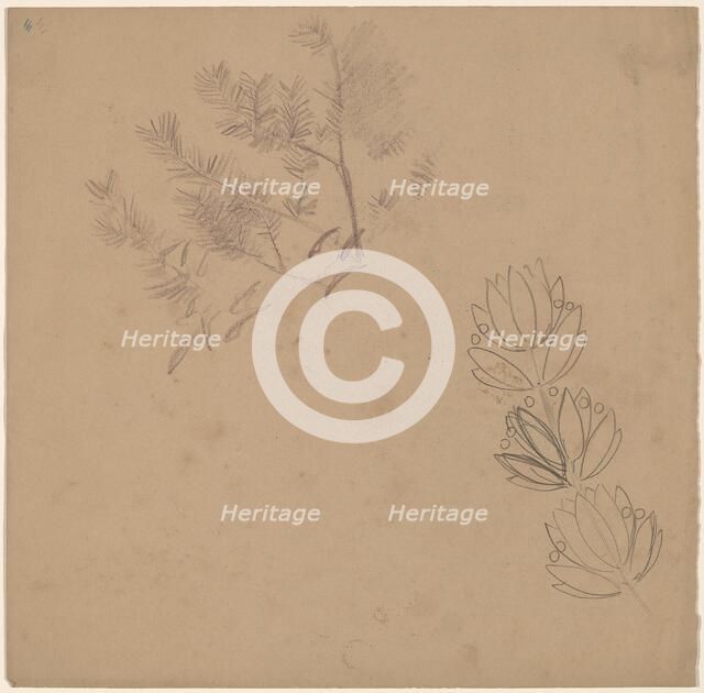 Study for a Border Design with a Sketch of a Tree, 1890/1897. Creator: Charles Sprague Pearce.