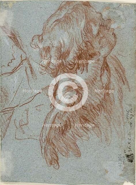 Study for Detail: Head of a Cherub, 1750/59. Creator: Giovanni Battista Tiepolo.