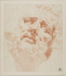 Study for Head of Laocoon, n.d. Creator: Andrea Appiani