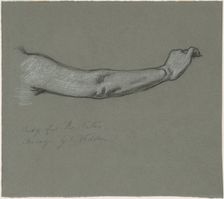 Study for "The Fates Gathering in the Stars", 1884-1887. Creator: Elihu Vedder