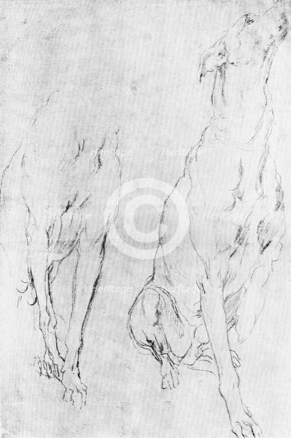 Study for the greyhound in the portrait of the Duke of Richmond, c1634 (1900). Artist: Unknown