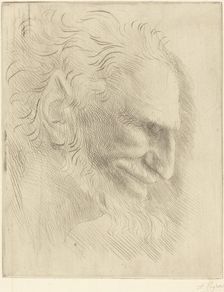Study for the Head of a Man (Etude de tete d'homme). Creator: Alphonse Legros