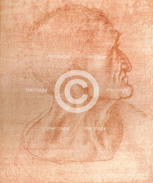 Study for the head of Judas in `The Last Supper`, c1494-c1499 (1883).  Artist: Leonardo da Vinci.