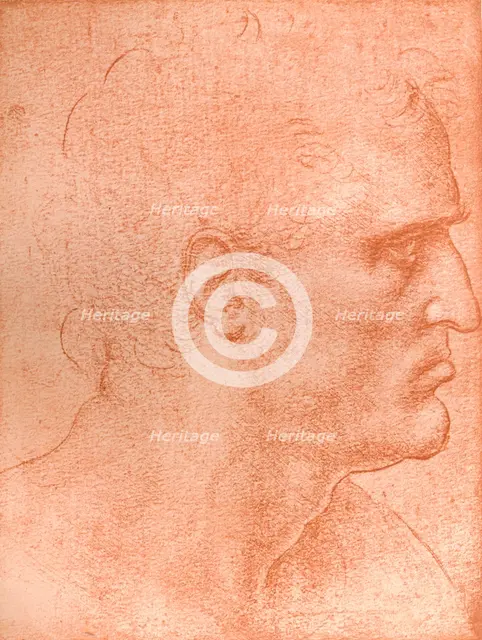 Study for the head of St Matthew in `The Last Supper`, c1494-c1499 (1883).  Artist: Leonardo da Vinci.