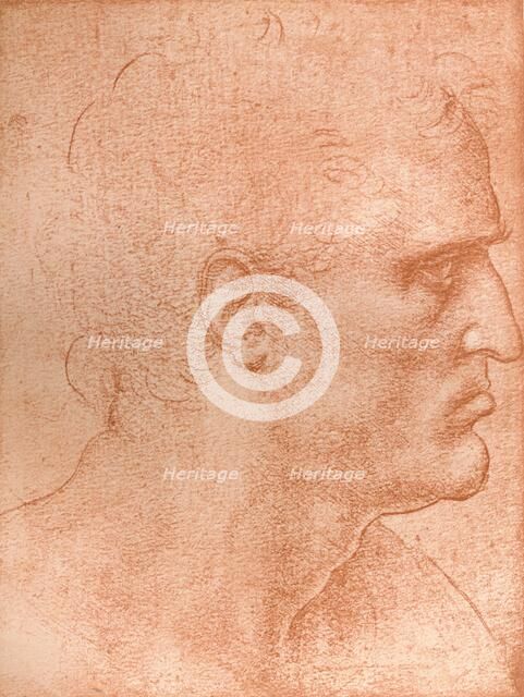 Study for the head of St Matthew in `The Last Supper`, c1494-c1499 (1883).  Artist: Leonardo da Vinci.