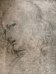 Study for the head of St Philip in `The Last Supper`, c1494-c1499 (1883). Artist: Leonardo da Vinci