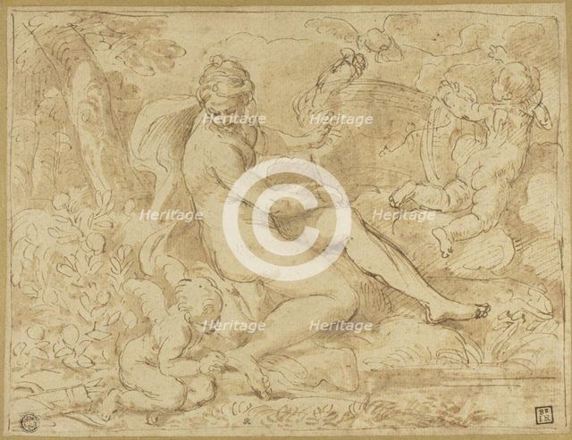 Study for the Origin of the Rose, n.d. Creators: Carlo Maratti, Pier Francesco Mola.