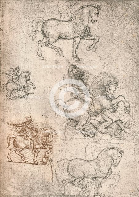 Study for the Sforza Monument, c1482-c1499 (1883). Artist: Leonardo da Vinci.