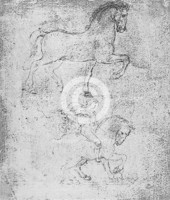Study for the Sforza Monument, c1482-c1499 (1883). Artist: Leonardo da Vinci.