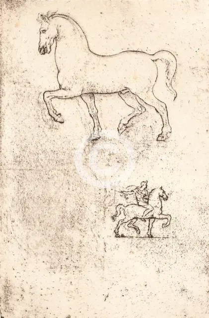Study for the Sforza Monument, c1482-c1499 (1883). Artist: Leonardo da Vinci.